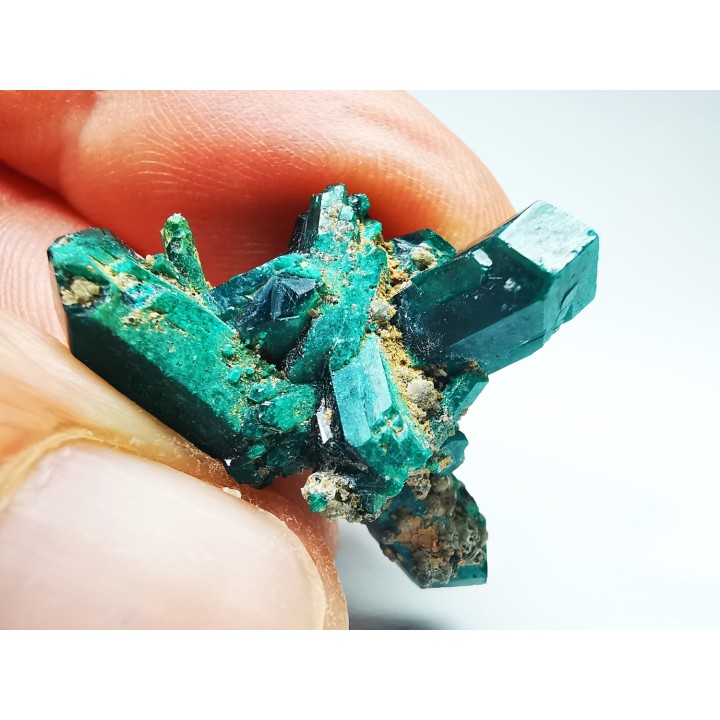 TOP! DIOPTASE - Mindouli, Congo