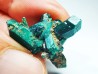 TOP! DIOPTASE - Mindouli, Congo