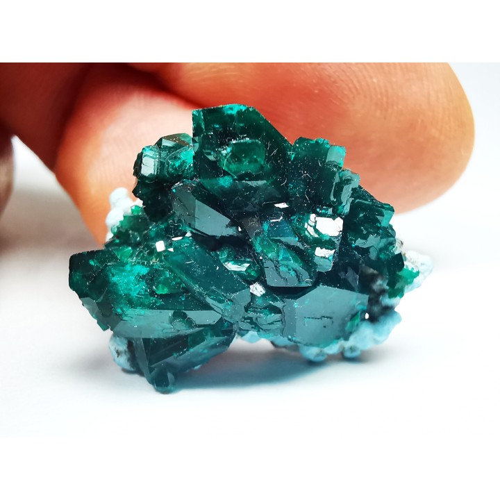 TOP! DIOPTASE - Mindouli, Congo (RDC)