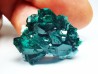 TOP! DIOPTASE - Mindouli, Congo