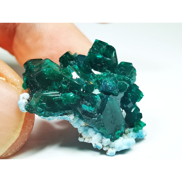 TOP! DIOPTASE - Mindouli, Congo
