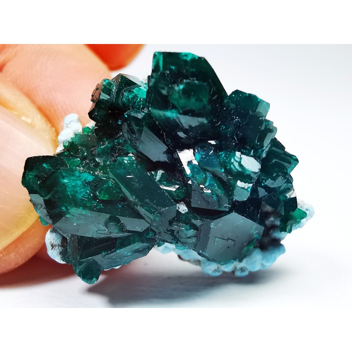 TOP! DIOPTASE - Mindouli, Congo
