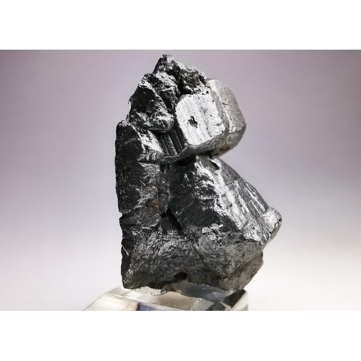 Bournonite, Viboras Mine (Bolivie)