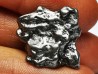 METEORITE  Octahedrite IAB : Campo del Cielo, ARGENTINA