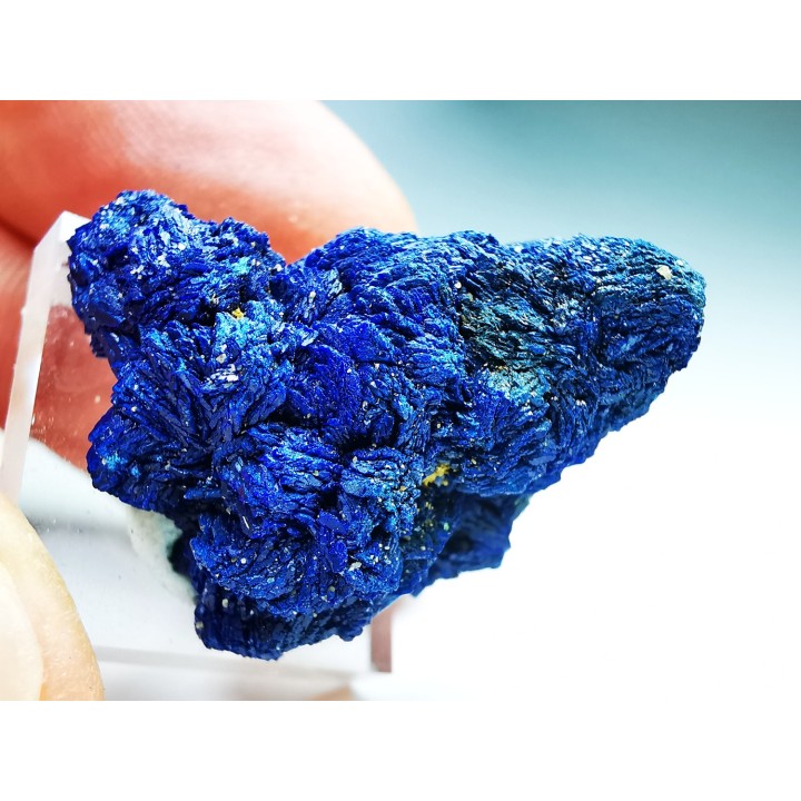 Azurite de Chessy, Rhône, France