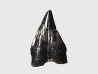 dent de dinosaure théropode - Sauronitholestes langstoni - Maastrichtien (Sud Dakota)