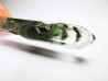 Chlorite quartz, Oisans, France