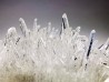 Quartz, Rio Roni, Piemont, Italie