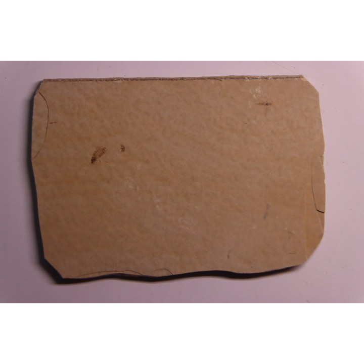 Insect: Diptera   Stampian (Oligocene)   Forcalquier area - Provence - France