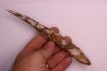 Asteracanthus ornatissimus  Cénomanien   Kem Kem , begaa prés de Taouz, MAROC