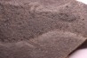 Acanthodian: Cheiracanthus murchisoni - Middle Devonian - old red sandstone Fmt - Orkney, Scotland