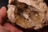 fossile CLAM avec geode de calcite miel : Mercenaria permagna - Pleistocene - Nashua Fmt - Okeechobee County, Florida, USA