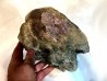 T- rex Vertebra:  Tyrannosaure rex - Hell Creek  Fmt - Upper cretaceous - Carter County, Montana - USA
