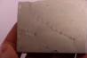 Repichnia trace fossil:  Ormathichnus monnilliformis - upper ordovicien - Kope Fmt - Wilder, Kentucky - USA