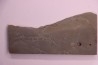 Repichnia trace fossil: Ormathichnus monnilliformis - upper ordovicien - Kope Fmt - Boone county, Kentucky - USA