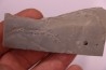 Repichnia trace fossil: Ormathichnus monnilliformis - upper ordovicien - Kope Fmt - Boone county, Kentucky - USA