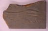 Trilobite tracks: Cruziana upper ordovicien Kope Formation Campbell county, Kentucky - USA