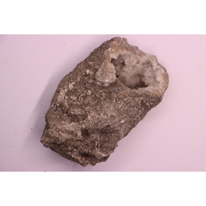 CORAL calcite geode - Oxfordian  - Liesberg quarry, Switzerland