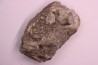 CORAL calcite geode - Oxfordian  - Liesberg quarry, Switzerland