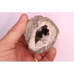 CORAIL géode de calcite - Oxfordien - Liesberg, Suisse