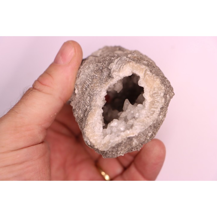 CORAL calcite geode - Oxfordian  - Liesberg quarry, Switzerland