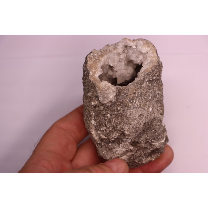 CORAL calcite geode - Oxfordian  - Liesberg quarry, Switzerland