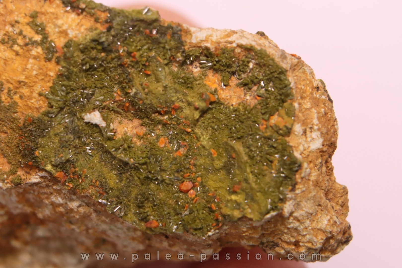 Pyromorphite and Crocoite Fillon "Le Cantonnier", NONTRON (24) FRANCE
