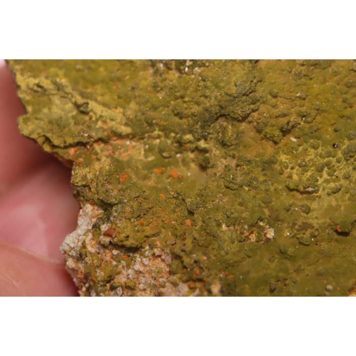Pyromorphite et Crocoite - Fillon "Le Cantonnier", NONTRON (24) FRANCE