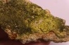 Pyromorphite and Crocoite Fillon "Le Cantonnier", NONTRON (24) FRANCE