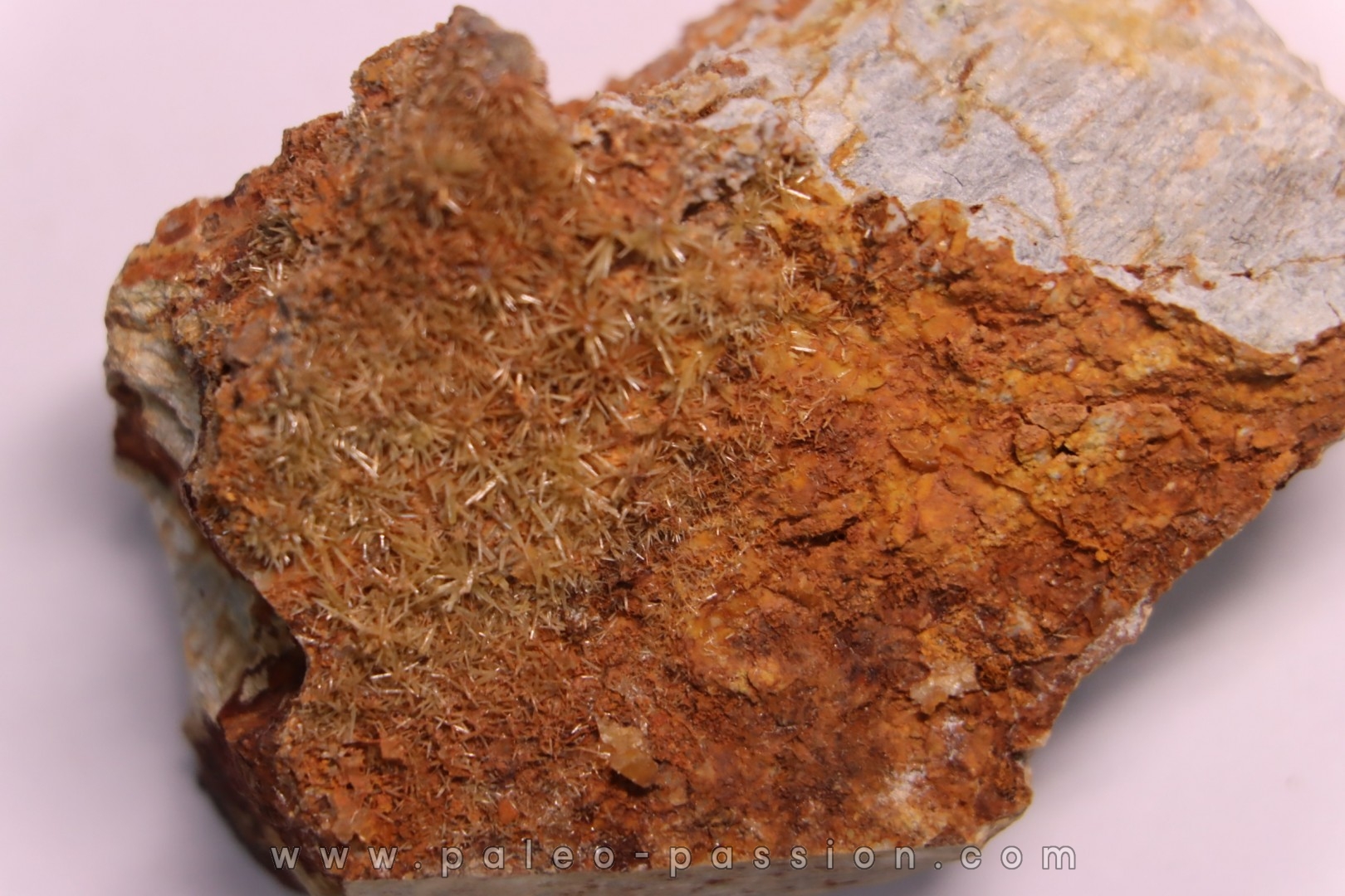 Pyromorphite - Mine du Keimar, (12) - FRANCE