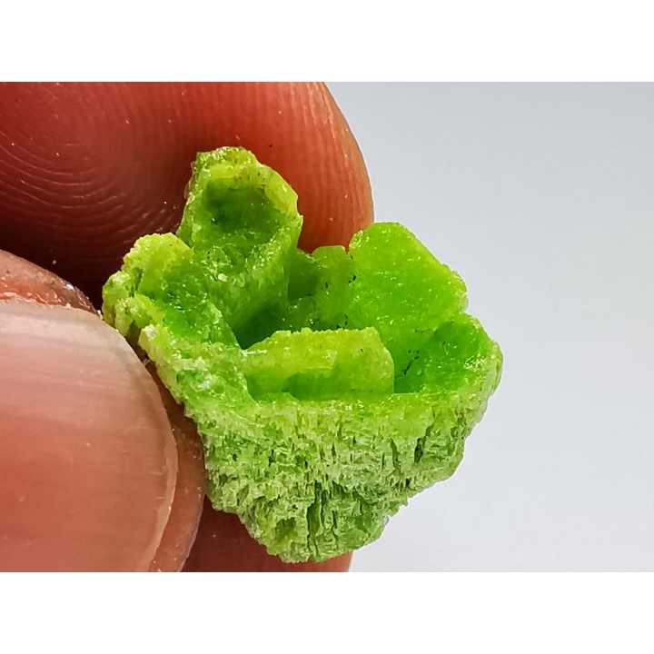 Pyromorphite  - mine Daoping, guangxi province, CHINE