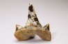shark tooth Cretalamna appendiculata - Cenomanian (Texas)