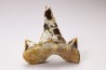 dent de requin Cretalamna appendiculata - Cénomanien (Texas)