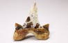 shark tooth Cretalamna appendiculata - Cenomanian (Texas)