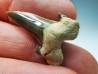 dent de requin Cretalamna appendiculata - Cénomanien (Texas)