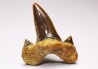 shark tooth Cretalamna appendiculata - Cenomanian (Texas)