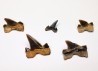 5 shark teeth set Cretalamna appendiculata - Cenomanian (Texas)