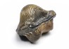 shark tooth Ptychodus occidentalis - Cretaceous (Kansas)