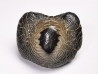 shark tooth Ptychodus anonymus - Cretaceous (Kansas)
