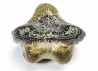 shark tooth Ptychodus anonymus - Cretaceous (Kansas)