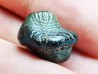 shark tooth Ptychodus anonymus - Cretaceous (Kansas)