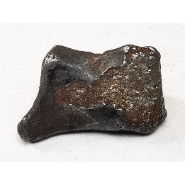 Météorite : SIDERITE IIAB de SIKHOTE ALIN, Russie