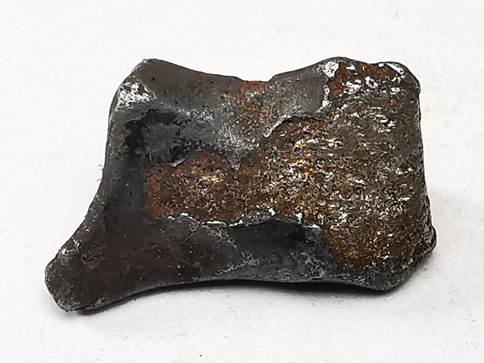 METEORITE: SIDERITE IIAB from SIKHOTE ALIN, Russia