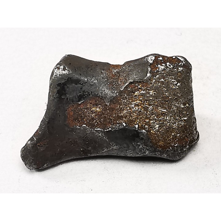 METEORITE: SIDERITE IIAB from SIKHOTE ALIN, Russia