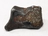 METEORITE: SIDERITE IIAB from SIKHOTE ALIN, Russia