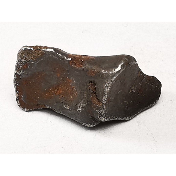 Météorite : SIDERITE IIAB de SIKHOTE ALIN, Russie