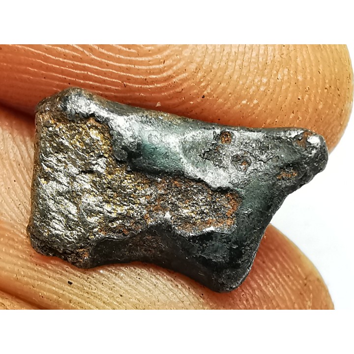METEORITE: SIDERITE IIAB from SIKHOTE ALIN, Russia