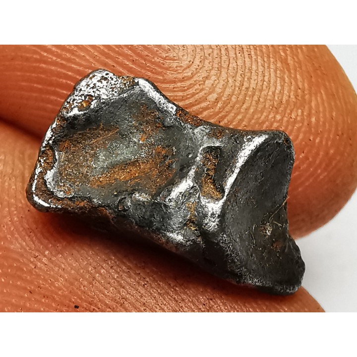 Météorite : SIDERITE IIAB de SIKHOTE ALIN, Russie