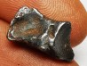 Météorite : SIDERITE IIAB de SIKHOTE ALIN, Russie