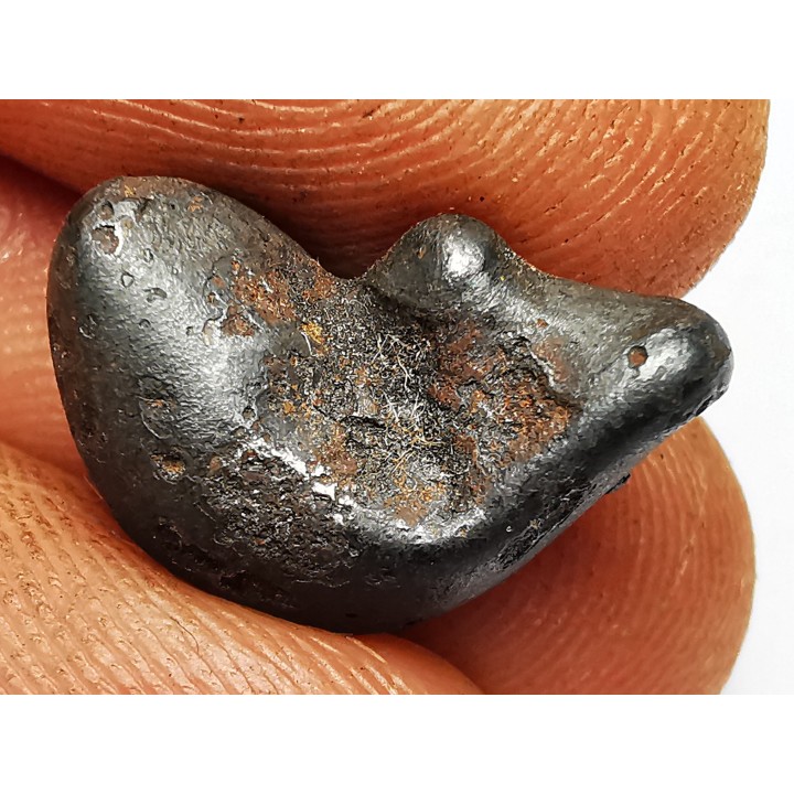 Météorite : SIDERITE IIAB de SIKHOTE ALIN, Russie